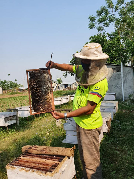 ABOUT BMSM HONEY FARM